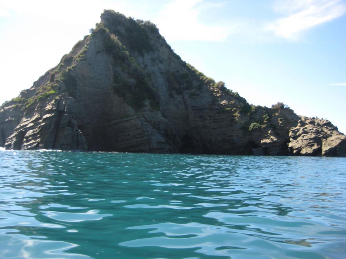 Bed and Breakfast Waipiro Bay Paradise Te Puia Экстерьер фото