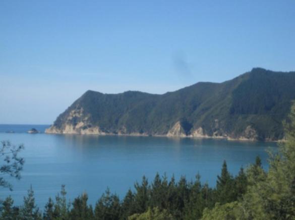 Bed and Breakfast Waipiro Bay Paradise Te Puia Экстерьер фото